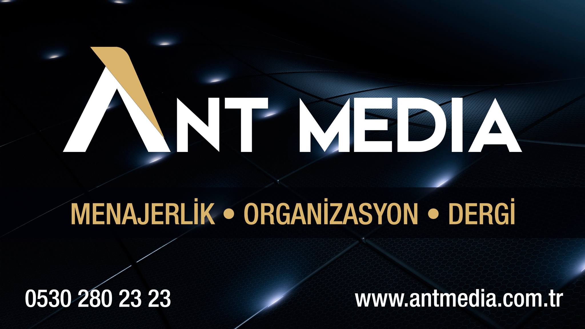 ANT MEDİA
